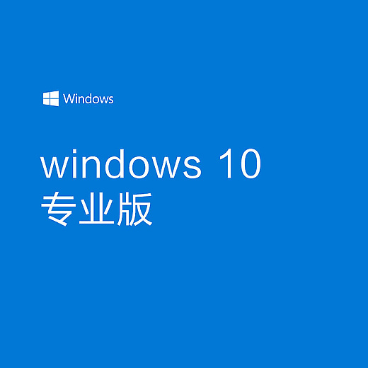 微软Win10 专业版OLP