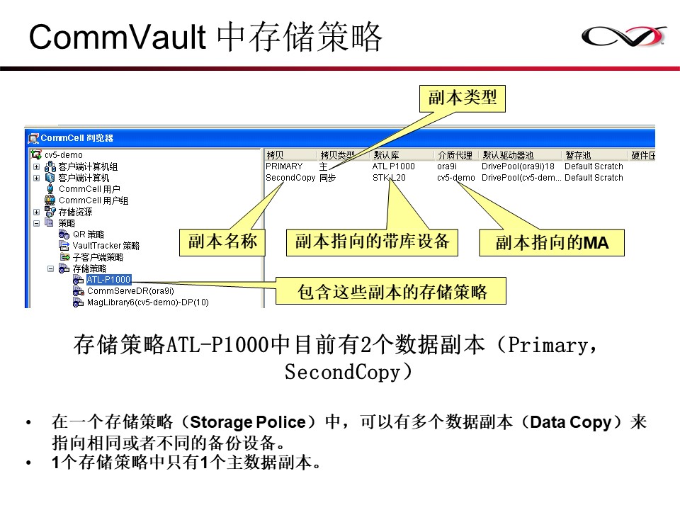 CommVault备份解决方案Galaxy备份介绍(图77)